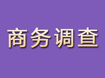 留坝商务调查